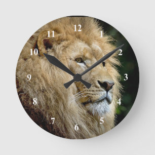 Horloge Ronde Profil du lion photo