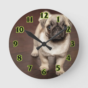 Horloge Ronde Pug puppy