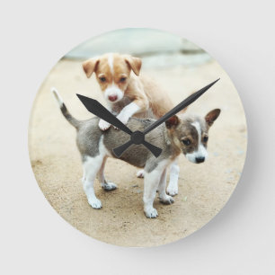 Horloge Ronde Puppies mignonnes jouer sur la plage