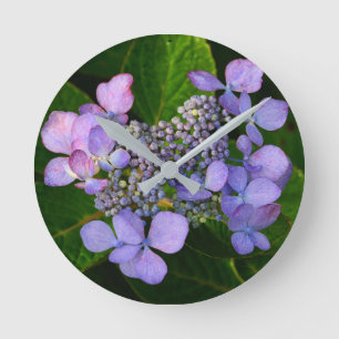 Horloge Ronde Purple Lacecap Hydrangea