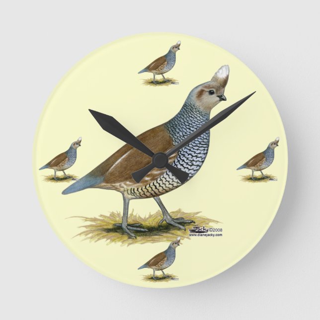 Horloge Ronde Quail à échelle (Recto)