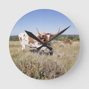 Horloge Ronde Race du Texas Longhorn (photo)