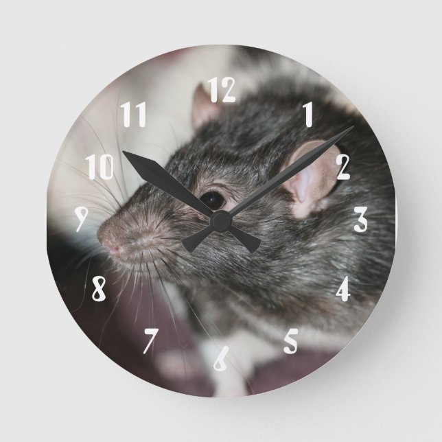 Horloge Ronde Rat (Recto)