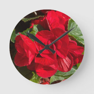 Horloge Ronde Red Begonia