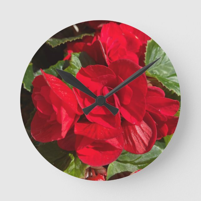 Horloge Ronde Red Begonia (Recto)