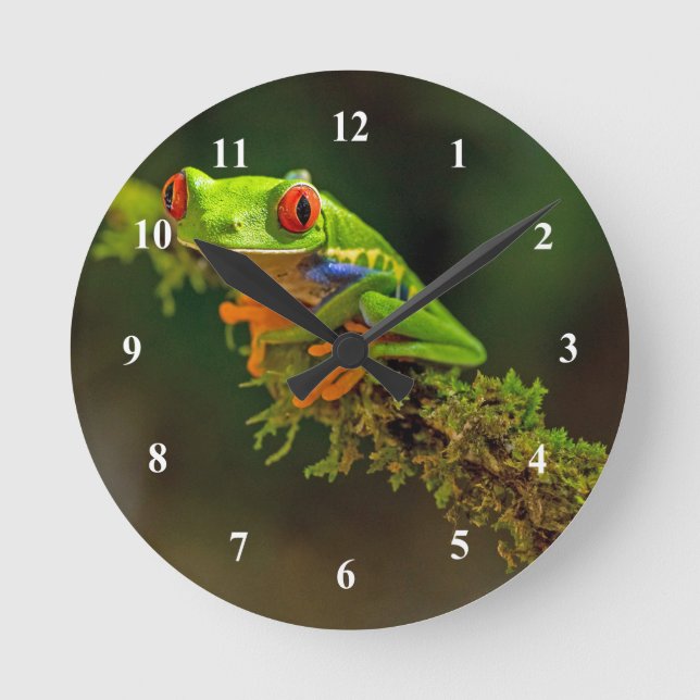 Horloge Ronde Red Eyed Tree Frog Photo (Recto)