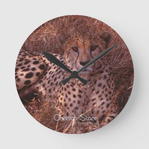 Horloge Ronde Regard fixe de guépard