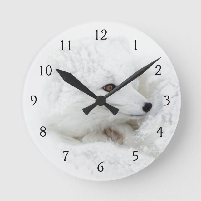Horloge Ronde Renard arctique recroquevillé en hiver (Recto)
