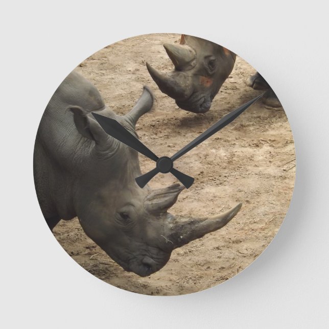 Horloge Ronde Rhino (Recto)