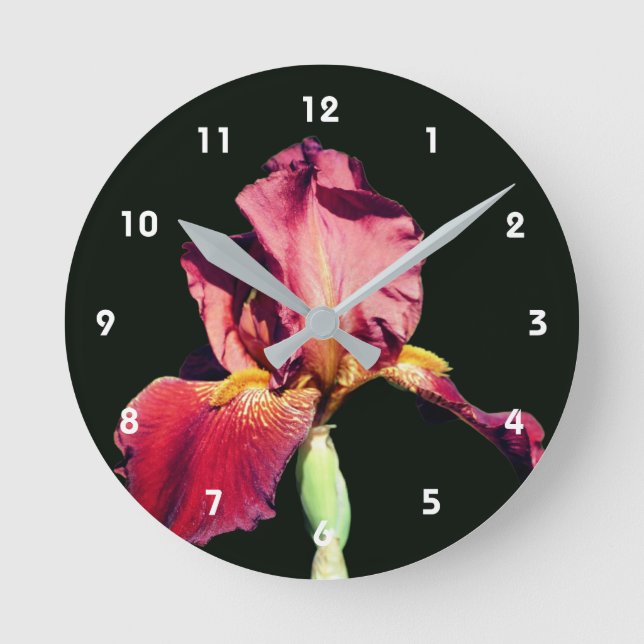 Horloge Ronde Root Beer Bearded Iris Flower (Recto)