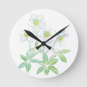Horloge Ronde Rose de Noël, Illustration de Helleborus niger