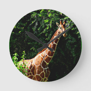 Horloge Ronde Samburu Giraffe