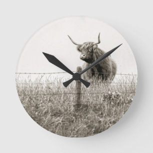 Horloge Ronde Scottish cow photograph