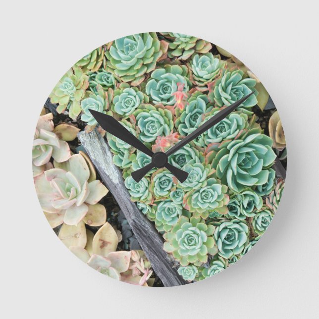 Horloge Ronde Sempervivum (Recto)