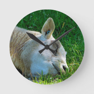 HORLOGE RONDE SHEEP