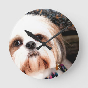 Horloge Ronde Shih Tzu