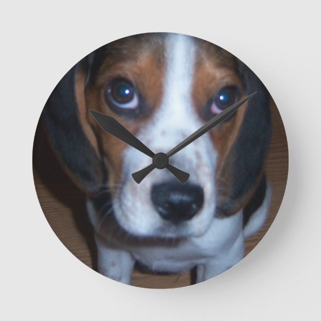 Horloge Ronde Silly Dog Randy beagle puppy (Recto)