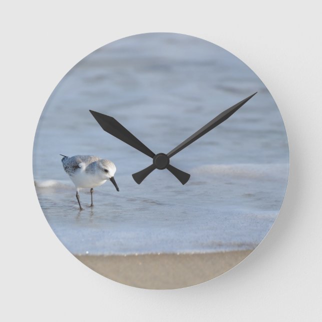 Horloge Ronde Single Sandpiper walking on beach  (Recto)