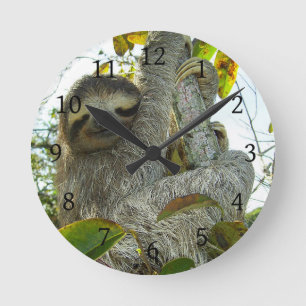 Horloge Ronde Sloth