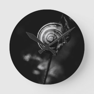 Horloge Ronde sn