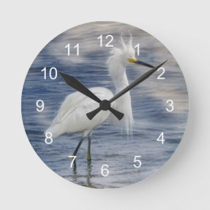 Horloge Ronde Snowt Egret Animale Faune