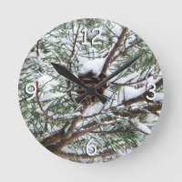 Snowy Pine Cône II hiver Photographie de la nature