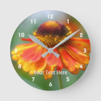 Soft Orange And Yellow Zinnia Flower Nature