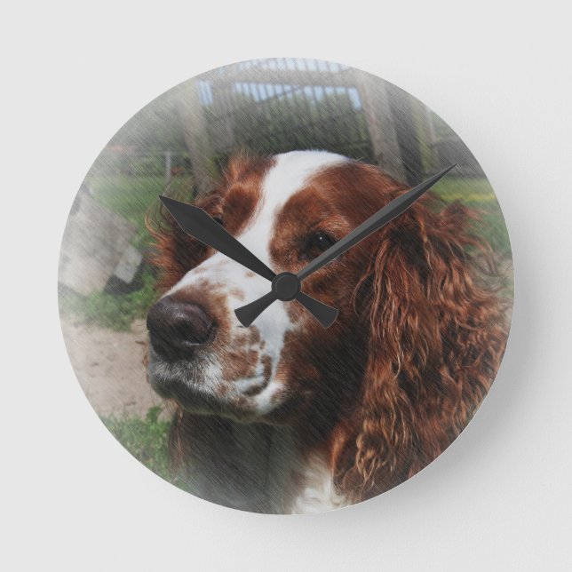 Horloge Ronde Springer Spaniel Chien Art (Recto)