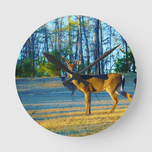 Horloge Ronde Stade / Buck Deer, Ciel bleu clair (Recto)