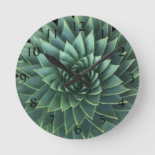 Horloge Ronde Succulent en spirale de Polyphylla d'aloès