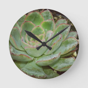 Horloge Ronde Succulent, poules et poules