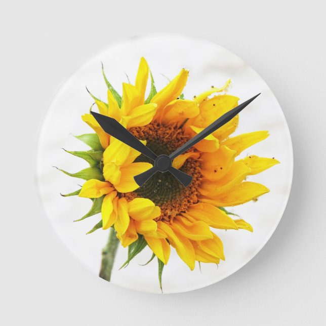 Horloge Ronde Sunflower (Recto)