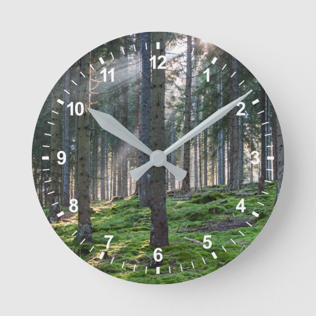Horloge Ronde Sunfonctionnaires dans la Forêt Noire (Recto)