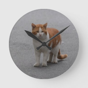 Horloge Ronde Thomas Ginger Et White Cat