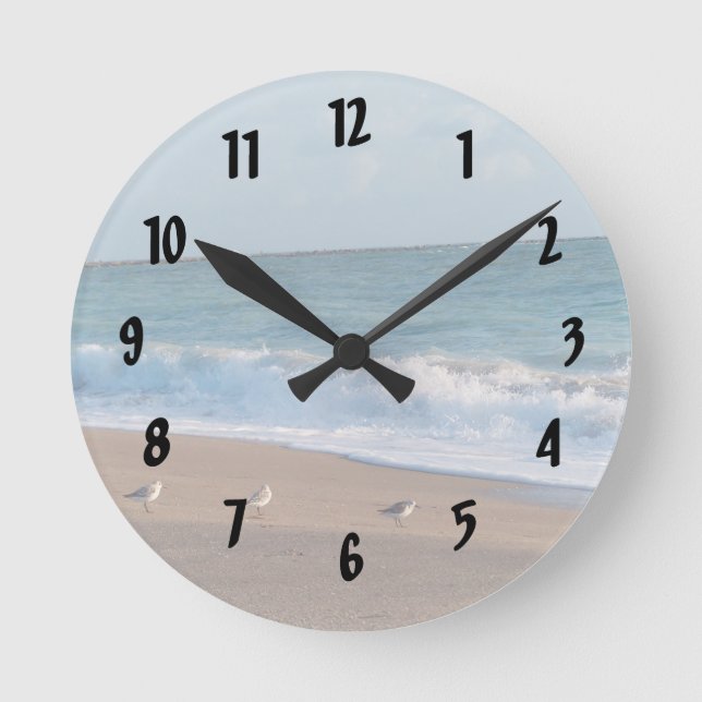 Horloge Ronde three birds on shore florida beach (Recto)