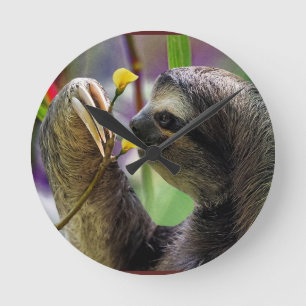 Horloge Ronde Three-Toed Tree Sloth