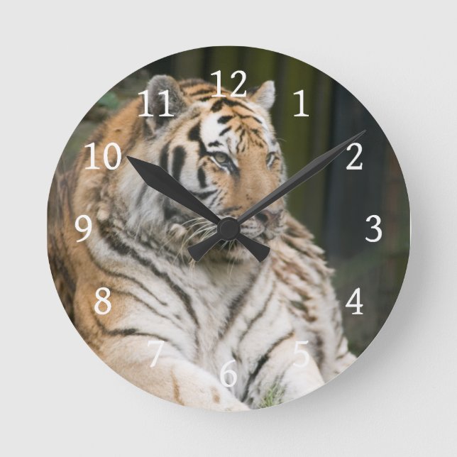 Horloge Ronde Tigre (Recto)