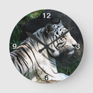 Horloge Ronde Tigre blanc