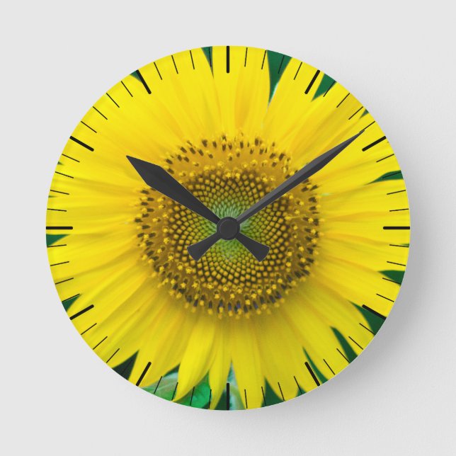 Horloge Ronde Tournesol en été (Recto)