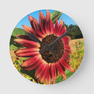 Horloge Ronde Tournesol rouge
