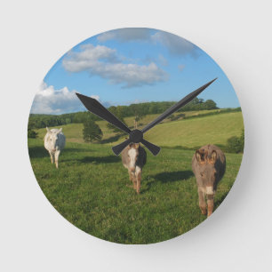 Horloge Ronde Trois ânes dans une photo de terrain