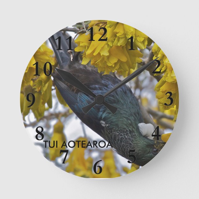 Horloge Ronde Tui d'Aotearoa (Recto)