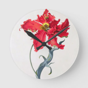 Horloge Ronde Tulipe : Fard à joues de Perroquet