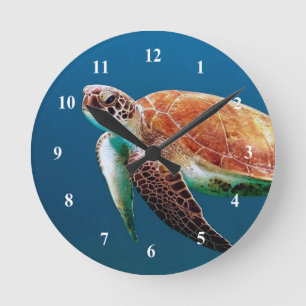 Horloge Ronde Turtle Blue Water Photo