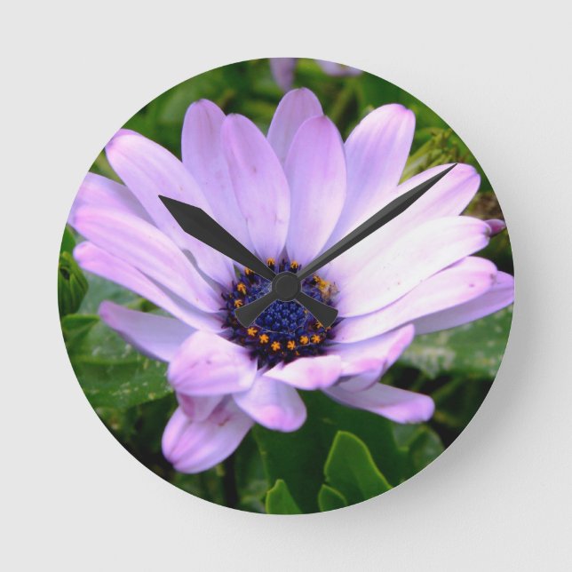 Horloge Ronde Un centre d'araignées (Recto)