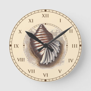 Horloge Ronde Une coquille
