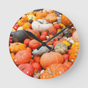 Horloge Ronde Variété de courge à vendre, Allemagne
