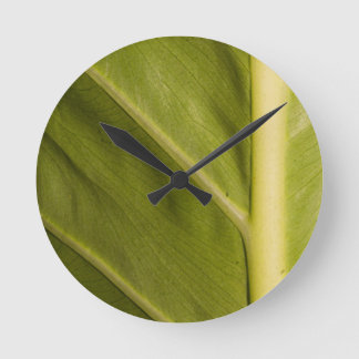 Horloge Ronde Vert 01