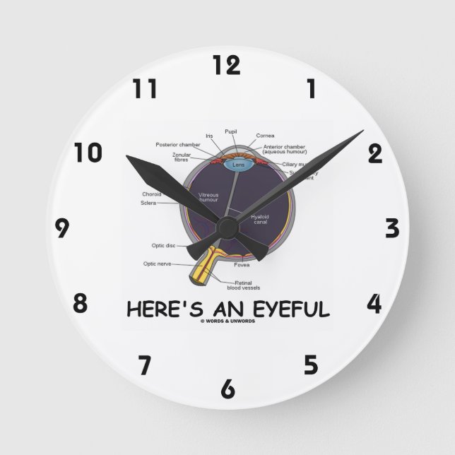 Horloge Ronde Voici un regard (l'humour d'anatomie d'oeil) (Recto)