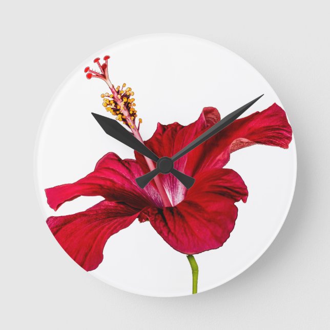 Horloge Ronde Vue latérale de l'Hibiscus rouge (Recto)